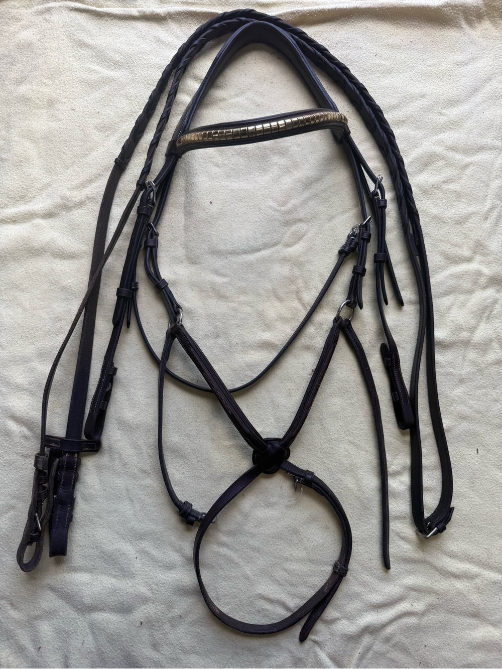 Oversized figure 8 bridle and reins